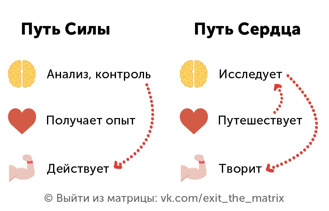 Сердечный путь. Путь сердца. Путь ума и путь сердца. Путь сердца картинки. Путь силы.