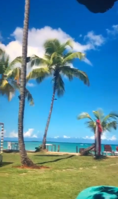 Recordando el paraíso