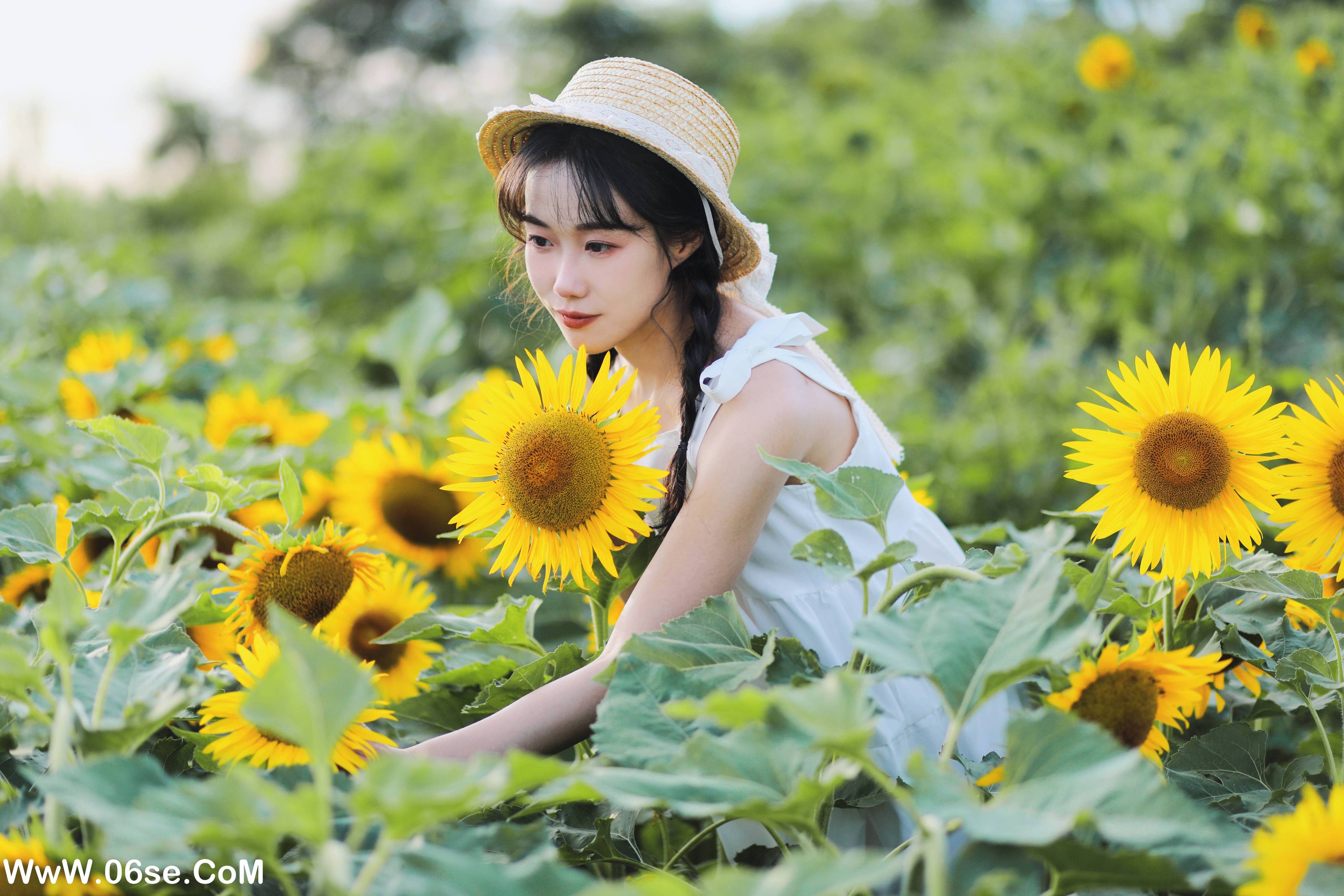图片[33]-[YITUYU艺图语]2022.11.25 向阳之花 迟白[35+1P／376MB]-六色网