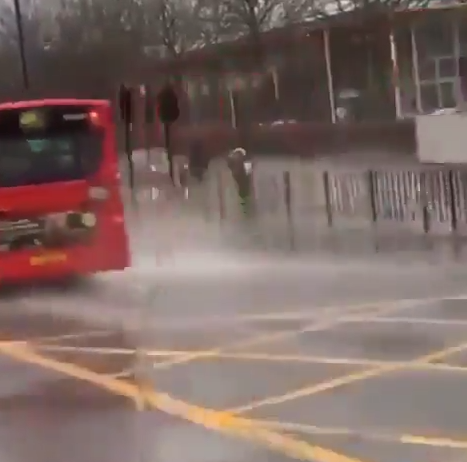 Intentando cruzar la carretera en un día de lluvia