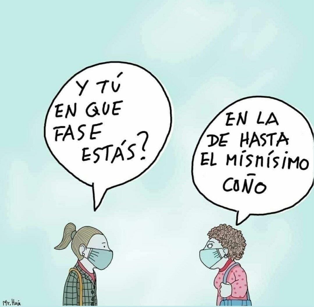 ¿En qué fase estás?