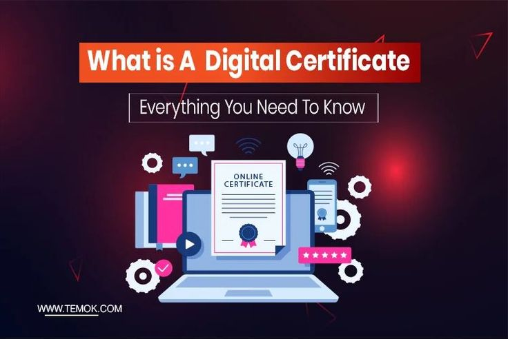 What is a Digital Certificate: Everything You Need To Know