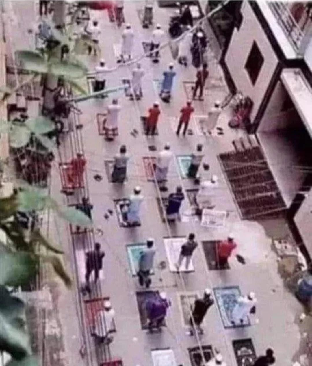 https://telegra.ph/file/f92d762ce6326da7a6348.jpg