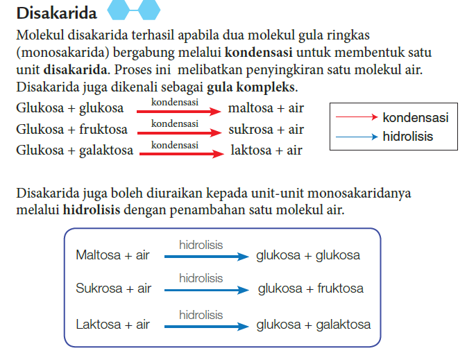 Biologi  T4 : 4.2 Karbohidrat – Telegraph