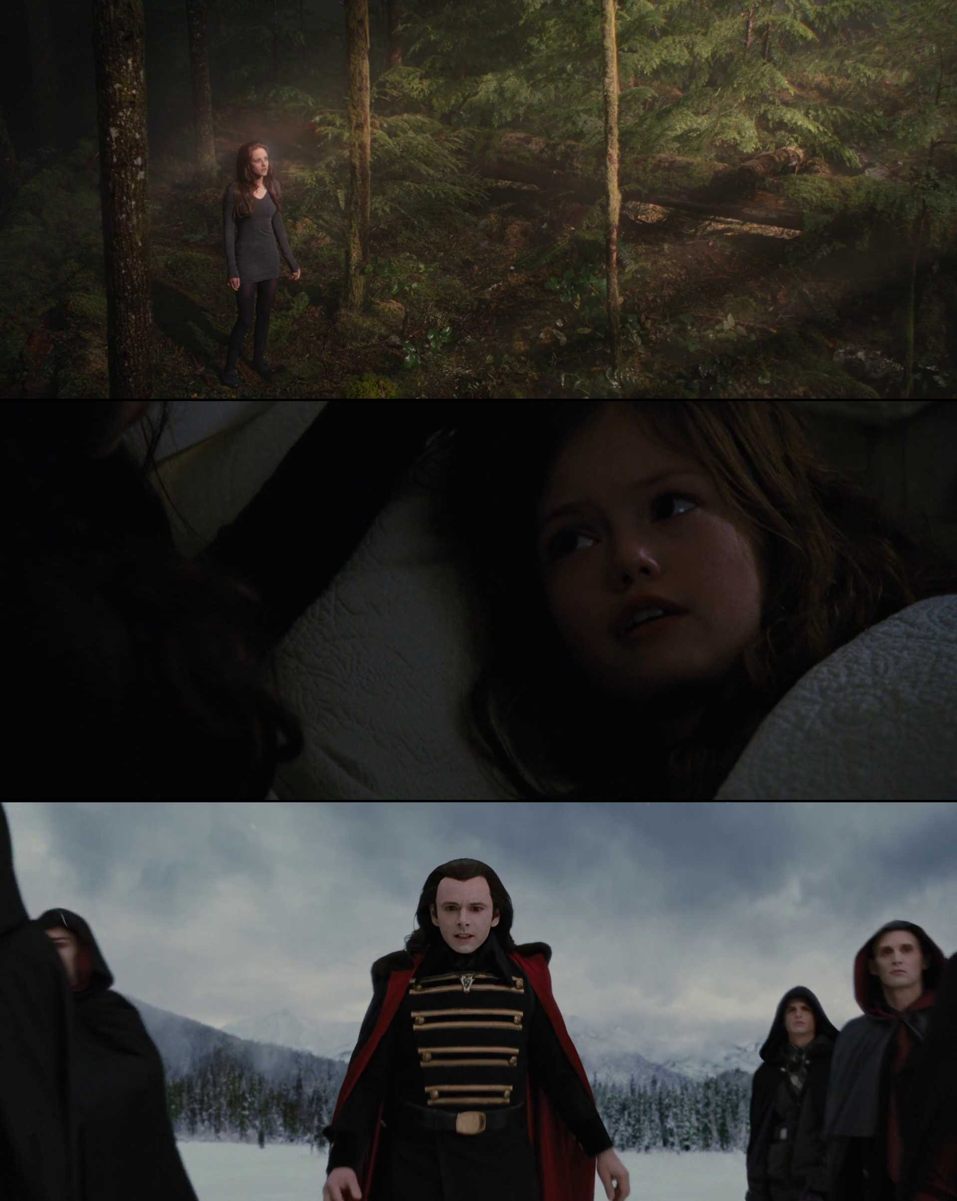 Screenshot of The Twilight Saga: Breaking Dawn - Part 2 Movie