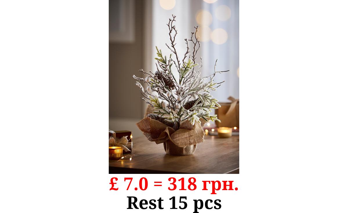 Christmas Pot Plant In Hessian Decoration