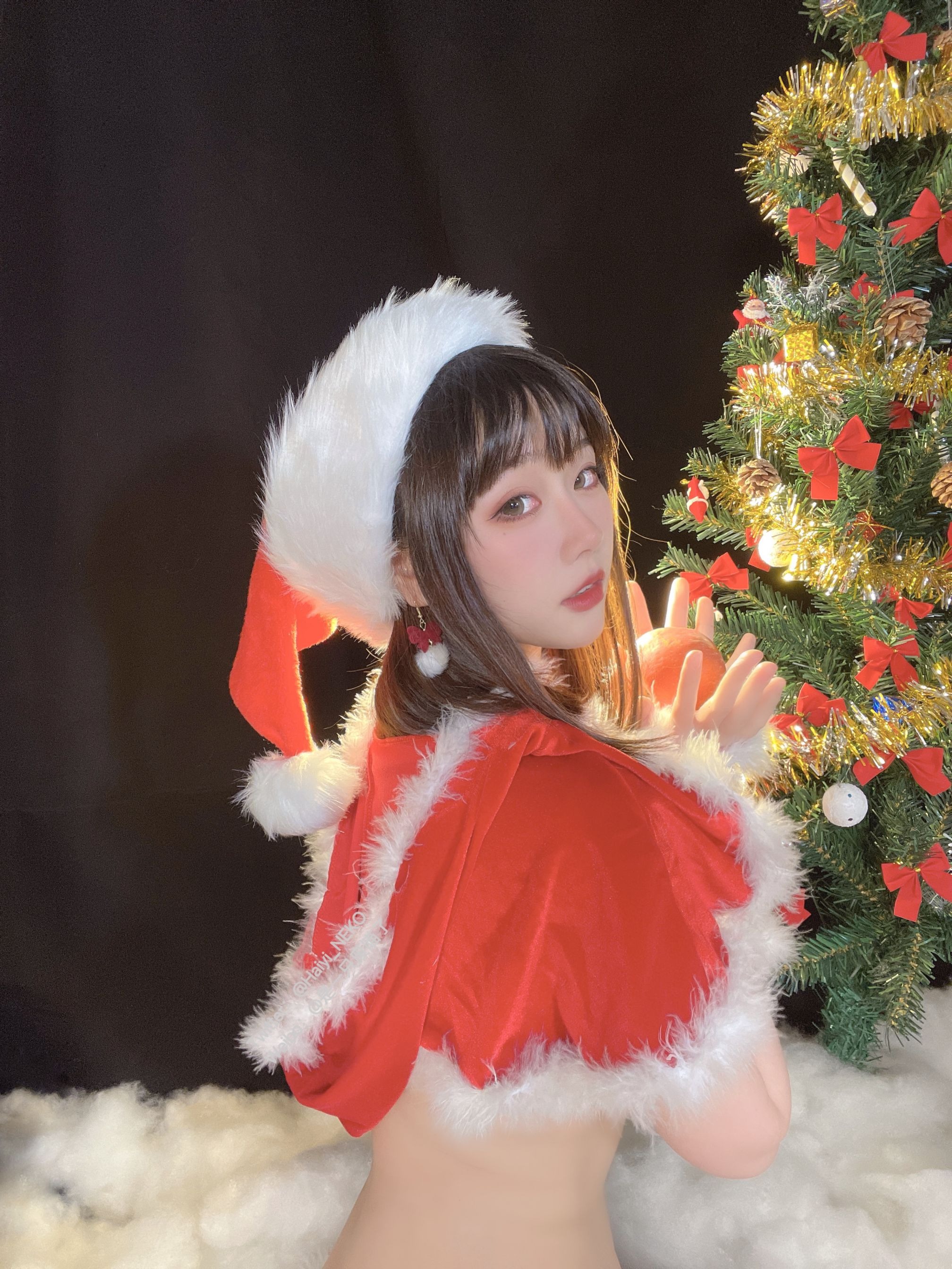 一只废喵 圣诞比基尼+连衣裙 [72P3V-620MB] 25