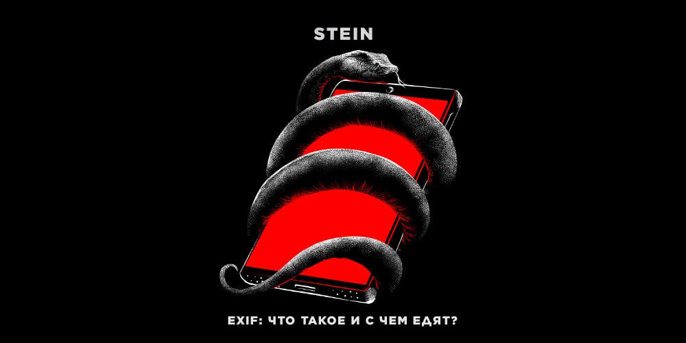 Telegram stein osint secur researcher tgstat
