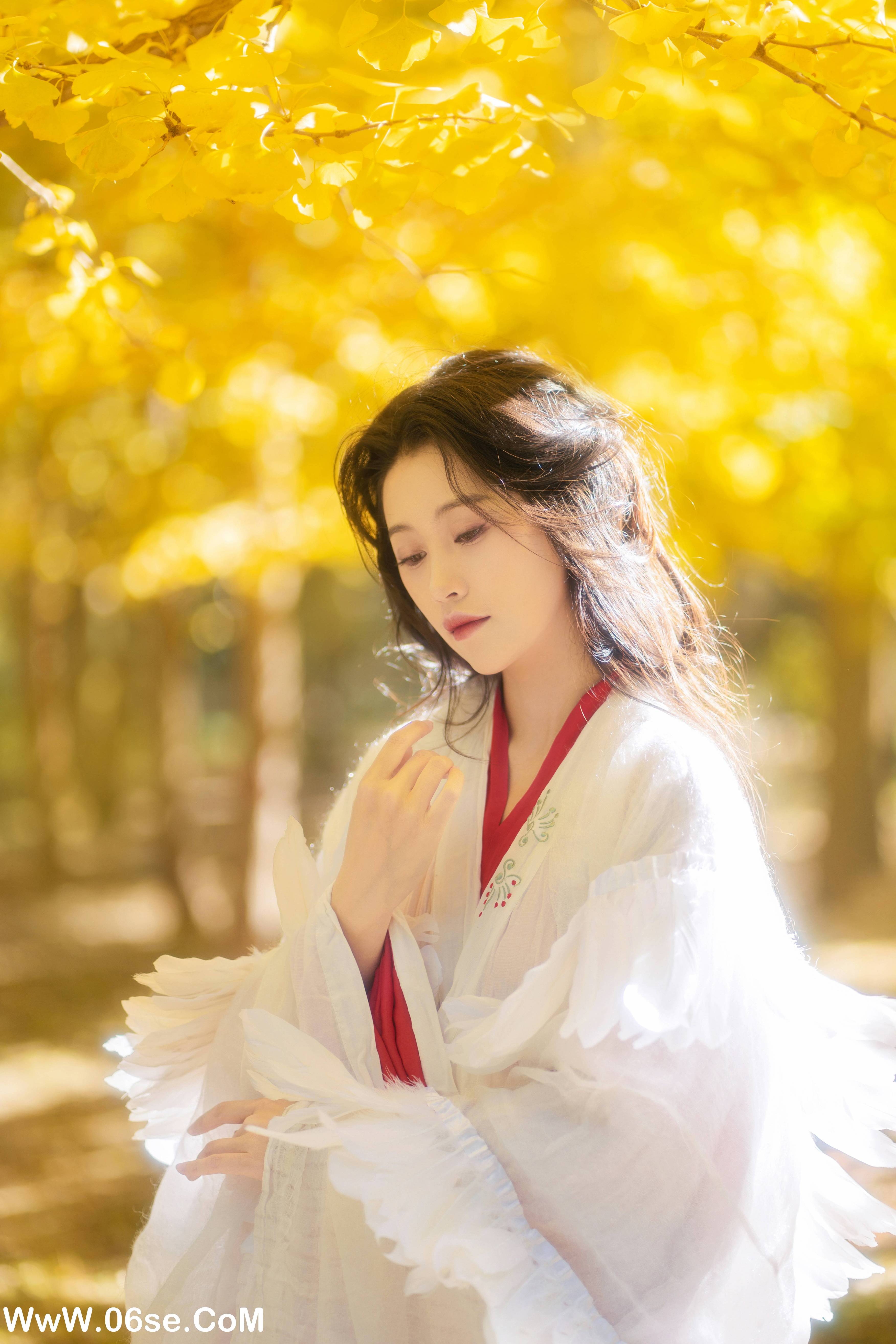 图片[8]-[YITUYU艺图语]2022.11.30 银杏 青霜鹅[25+1P／393MB]-六色网