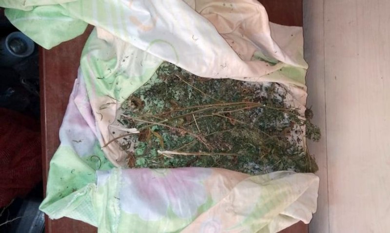 В бане под Хабаровском изъяли несколько пакетов марихуаны