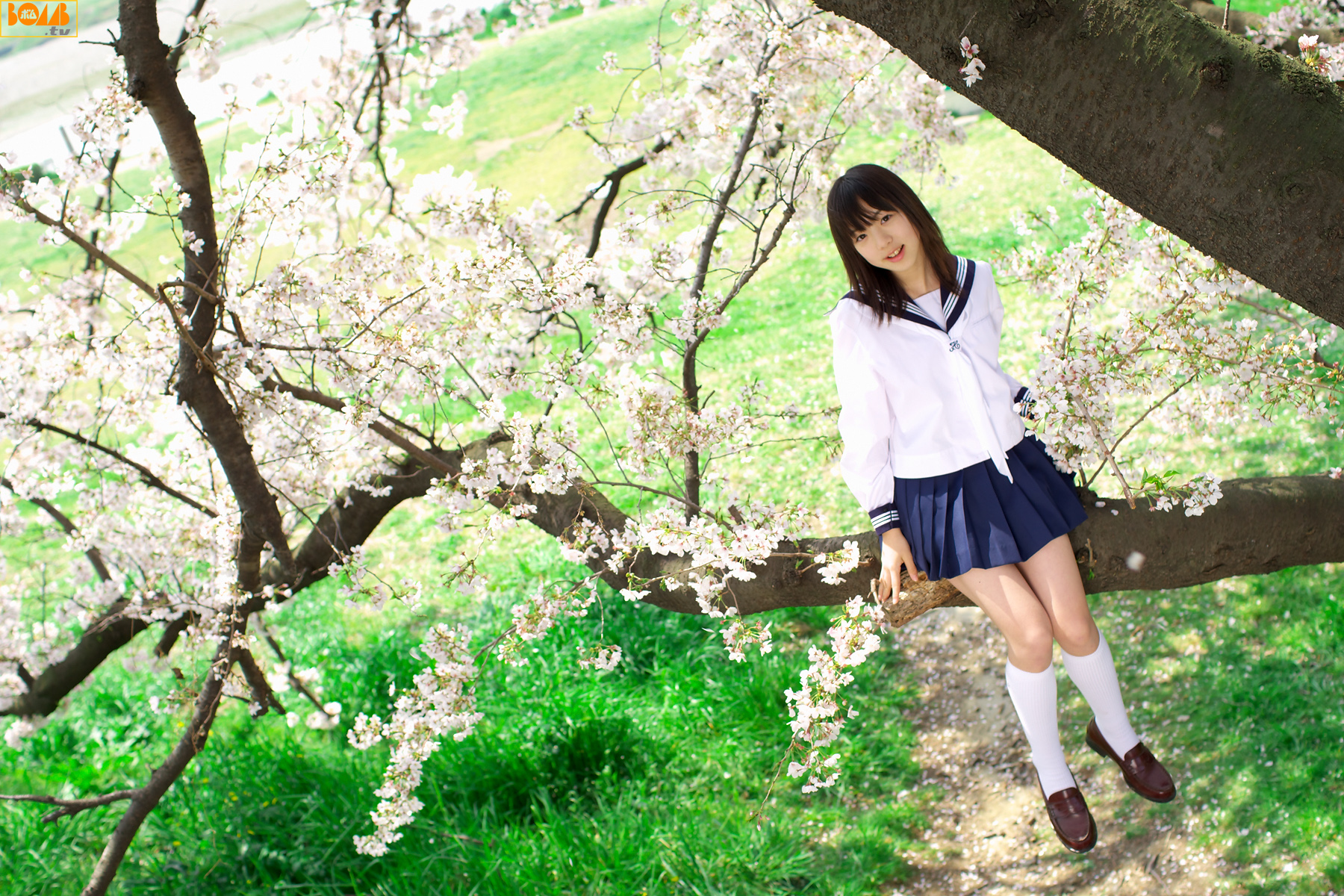 [Image: faa588c2714b45a4ee698.jpg]