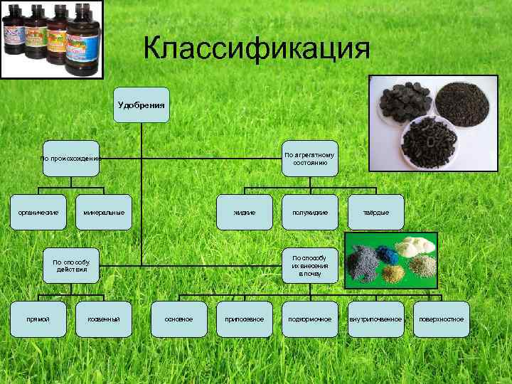 Классификация удобрений схема. Схема удобрения органические и Минеральные. Удобрения классификация удобрений. Классификация удобрений по агрегатному состоянию.