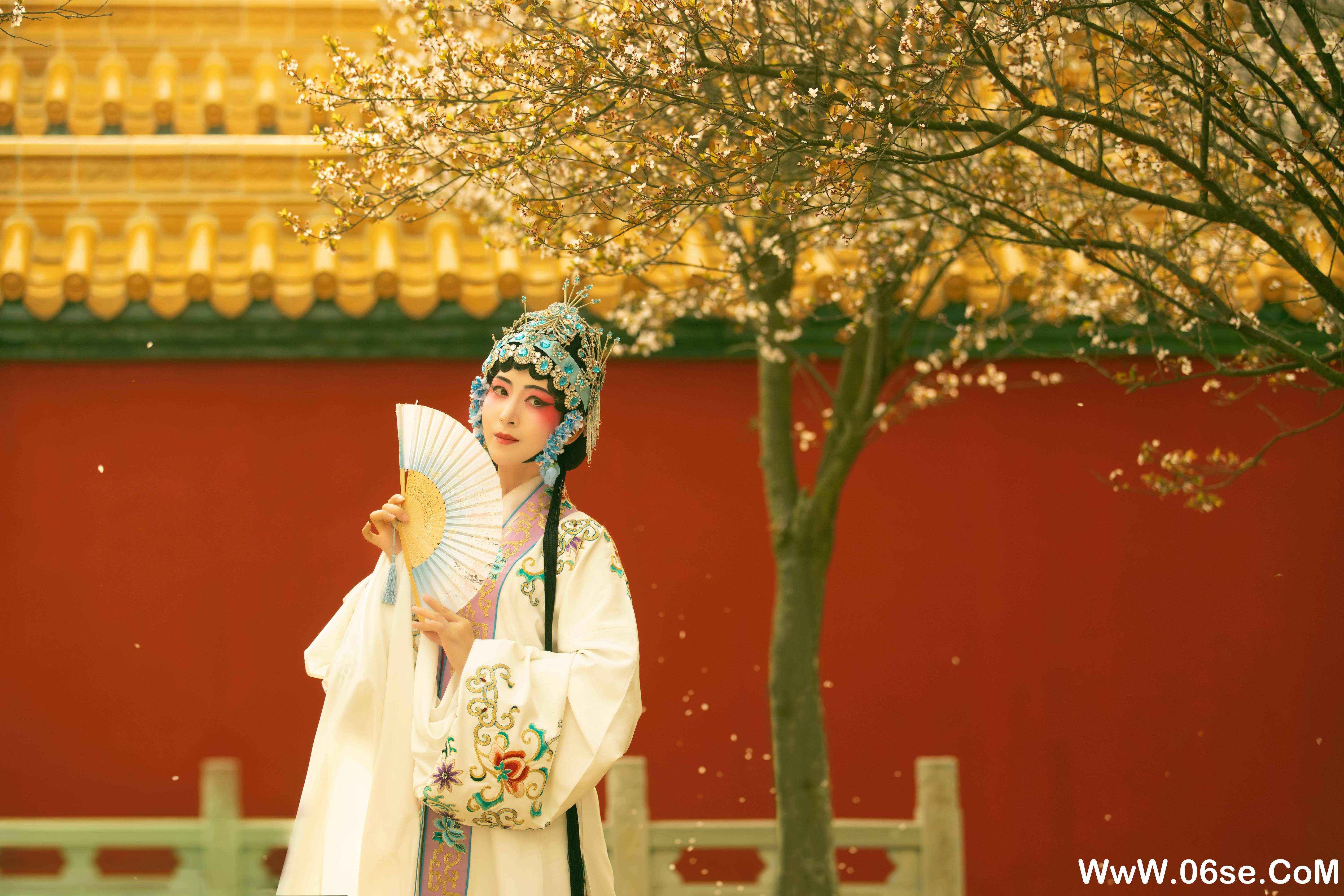 图片[14]-[YITUYU艺图语]2021.12.18 花满枝 修水凝花[22+1P／295MB]-六色网
