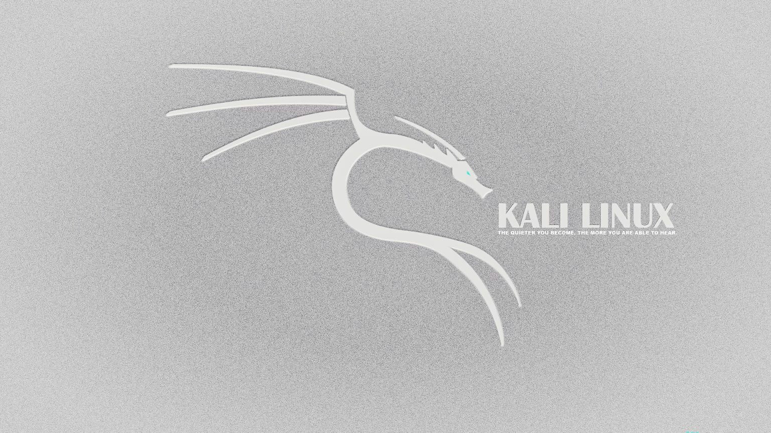   DDoS   Wi-Fi    Kali Linux      