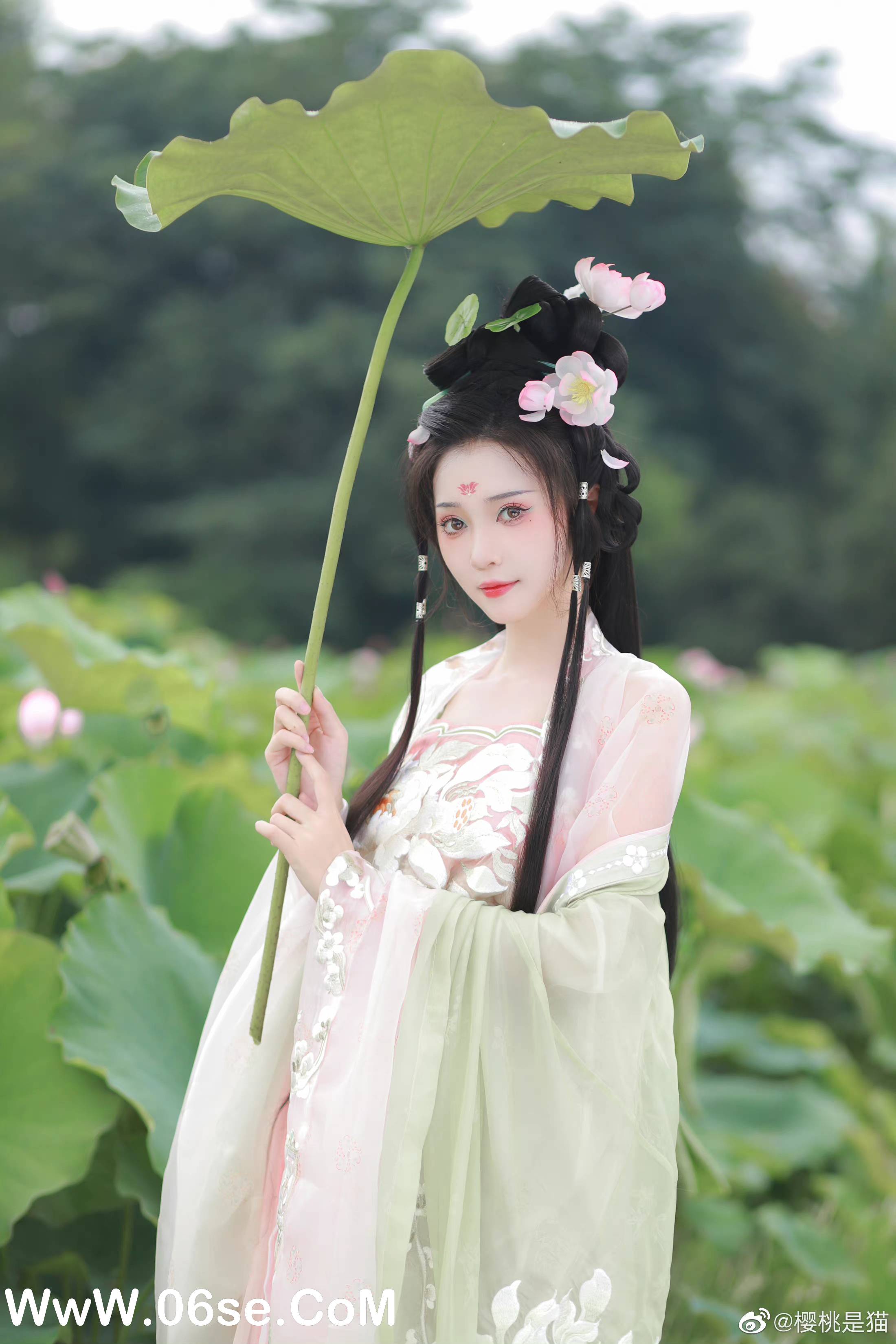 图片[12]-086 迷失幻境系列 – 第086期（国风） [94P-244.46 MB]-六色网
