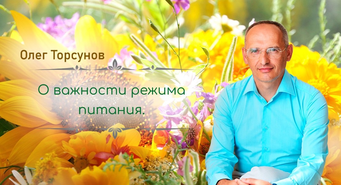 торсунов отзывы священников