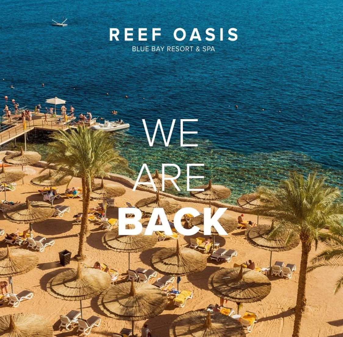 Reef oasis blue bay карта отеля