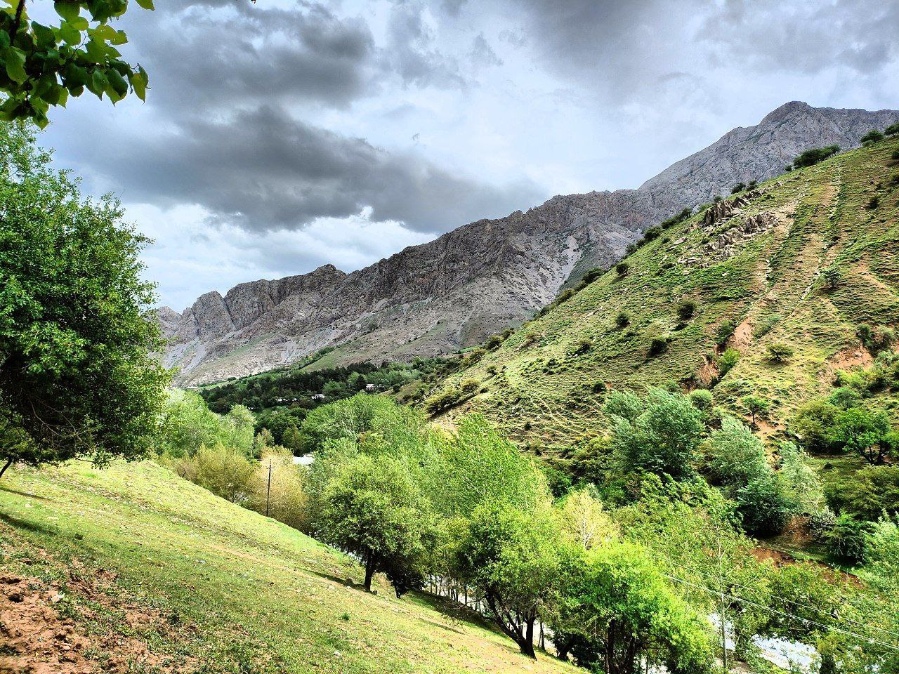 Самарканд ургут. Mamadiyorov Javohir.