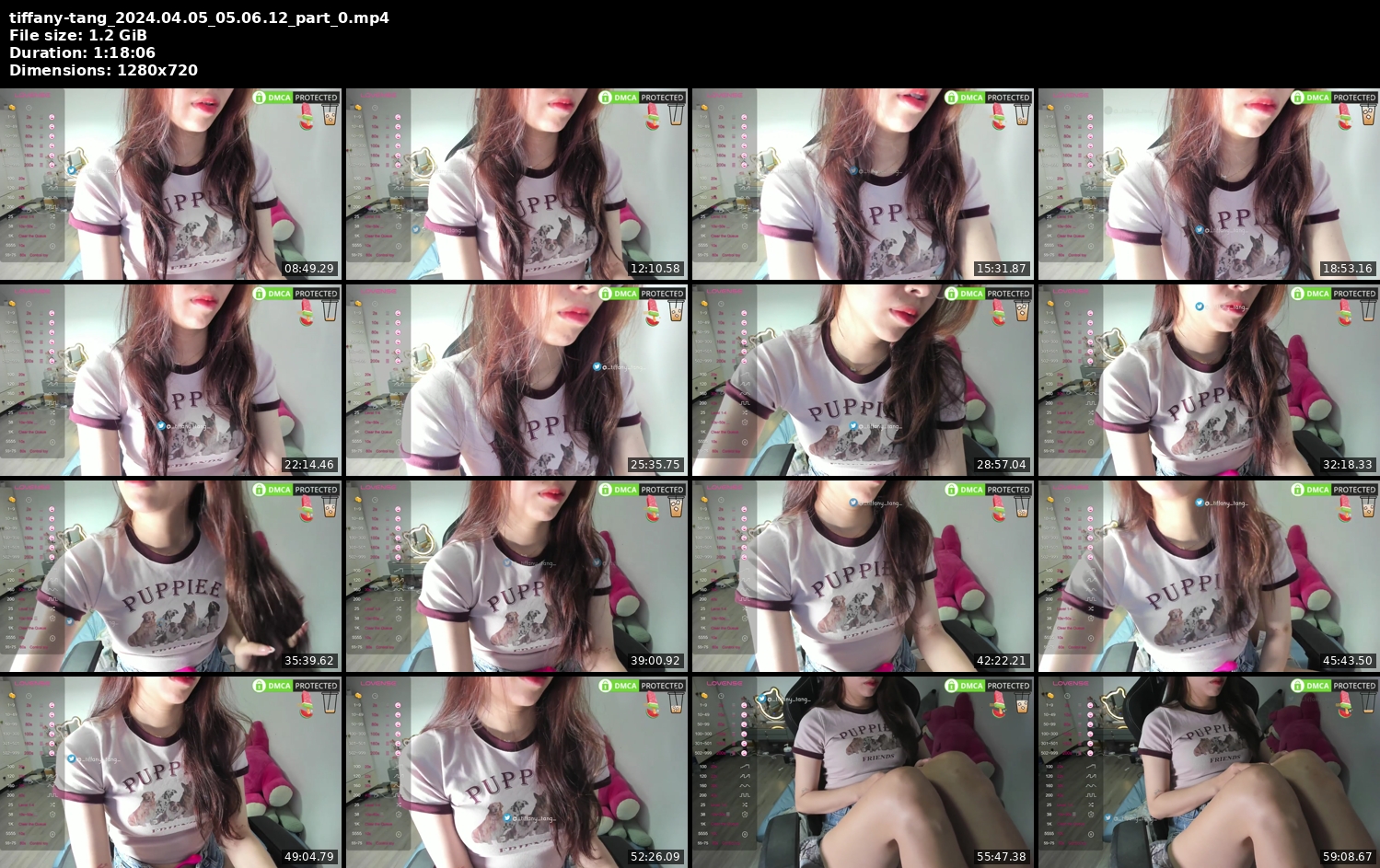 tiffany-tang 2024-04-05 05:06:12 - Part 1 Preview