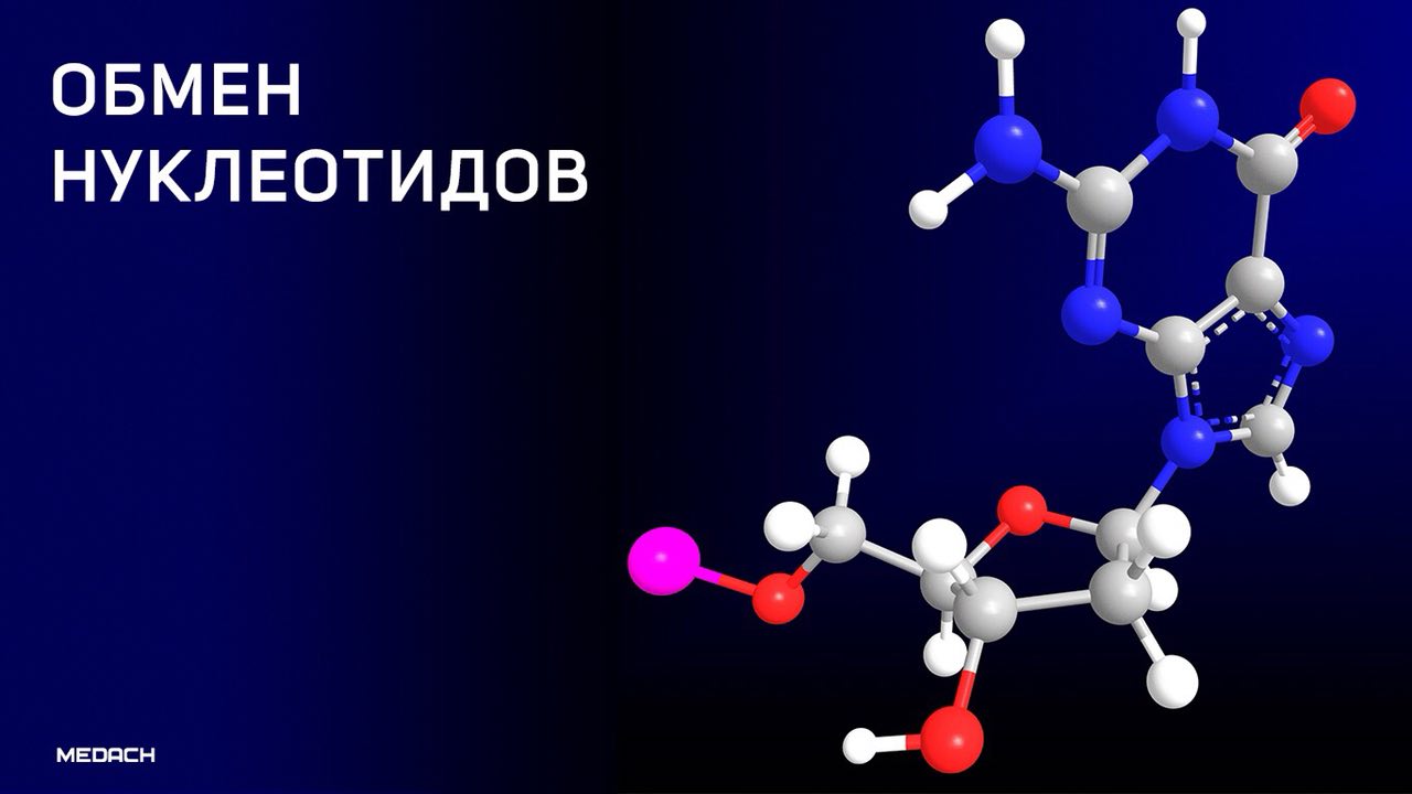 Нуклеотиды и витамины. Нуклеотид. Нуклеотиды фото. Строение аденилового нуклеотида. Нуклеотид структурная формула.