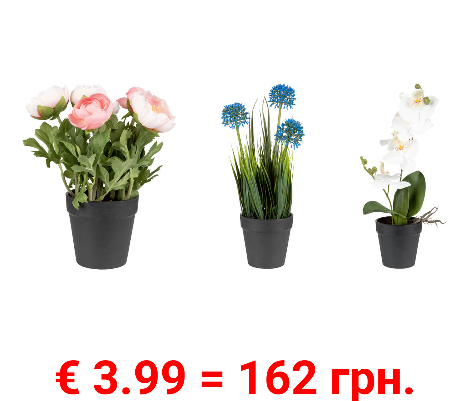 LIVARNO home Kunstpflanze Orchidee / Blaulauch / Ranunkel