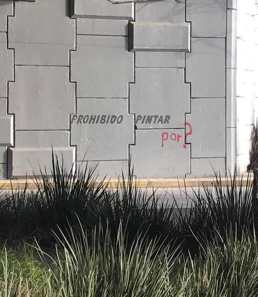 Preguntando por todo