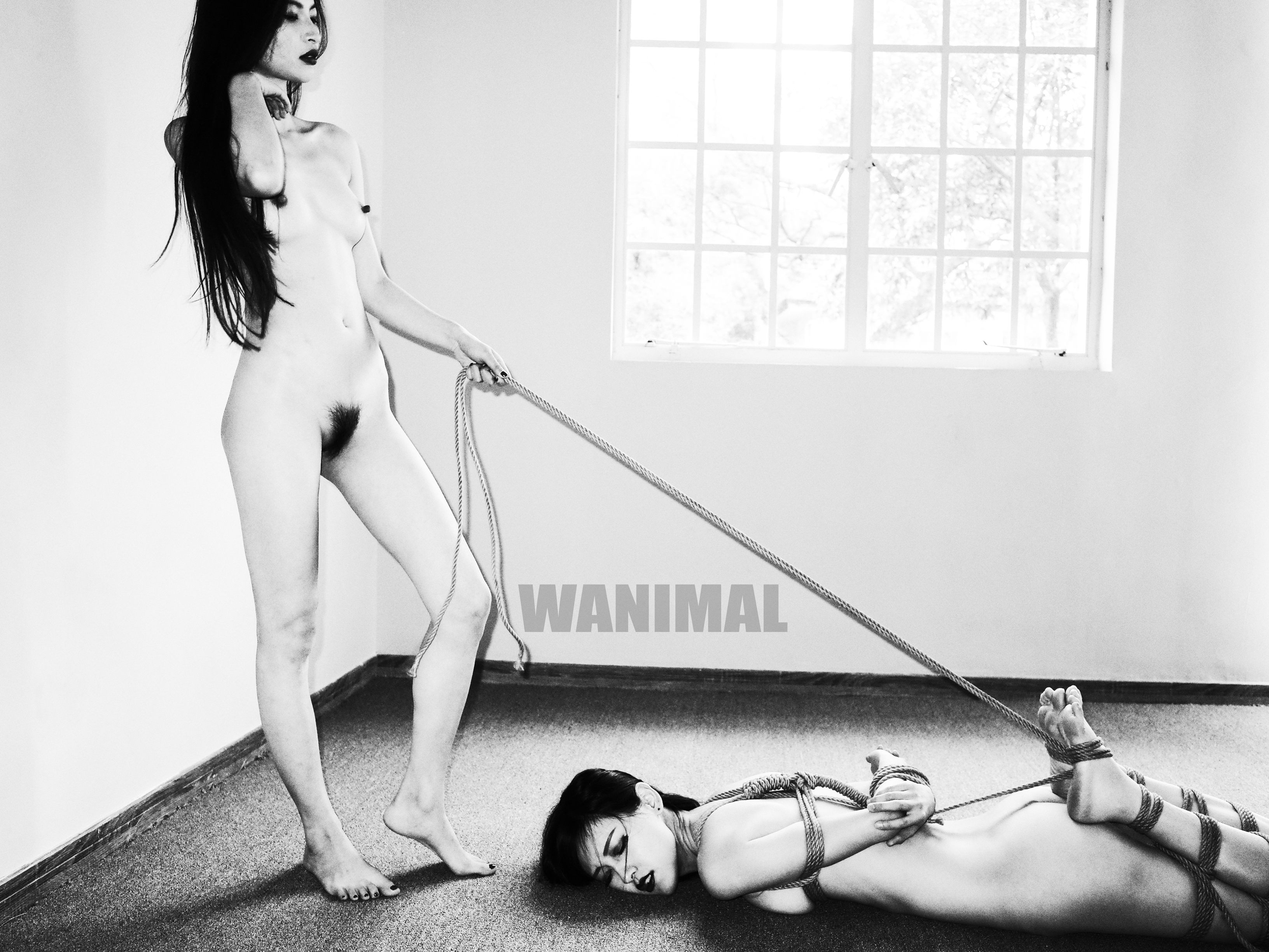 王动WANIMAL - SM绳艺 150P 132