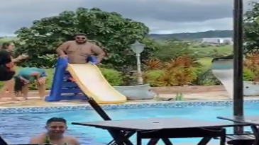 La foca en el tobogán