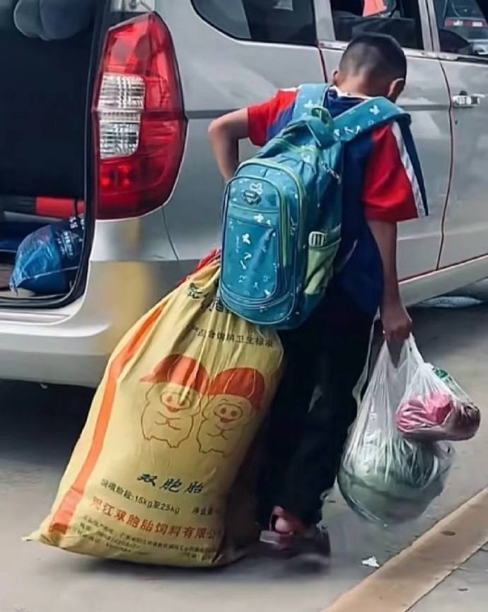 https://telegra.ph/file/fda45908732ac0968210c.jpg