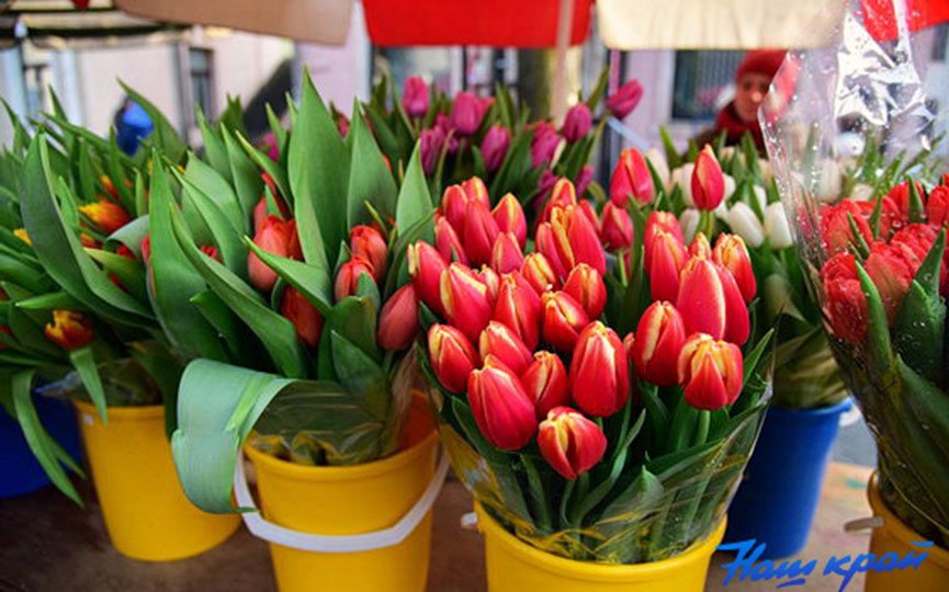 Цены на цветы к 8 Марта вырастут в Хабаровске из-за курса доллара