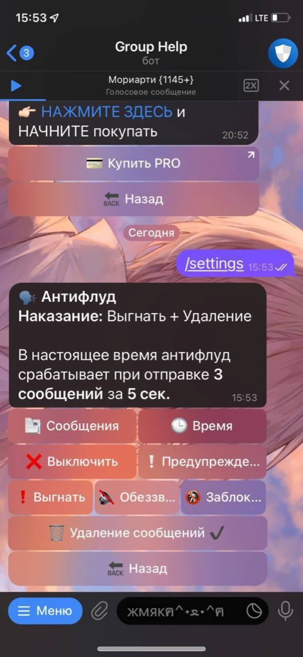 Настройка антифлуда – Telegraph
