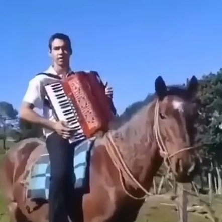 Reto conseguido sobre el caballo