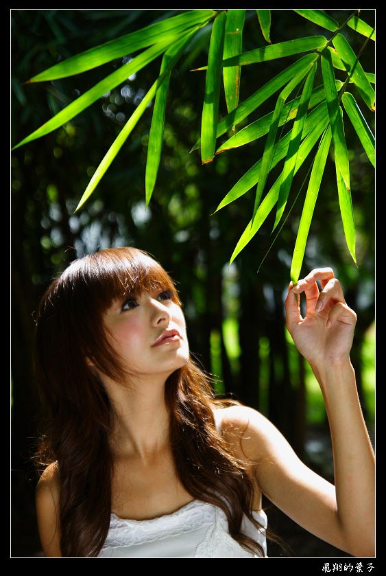 [Image: fed02c0c041087d73dbd3.jpg]