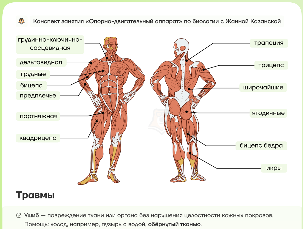 Конспект – Telegraph
