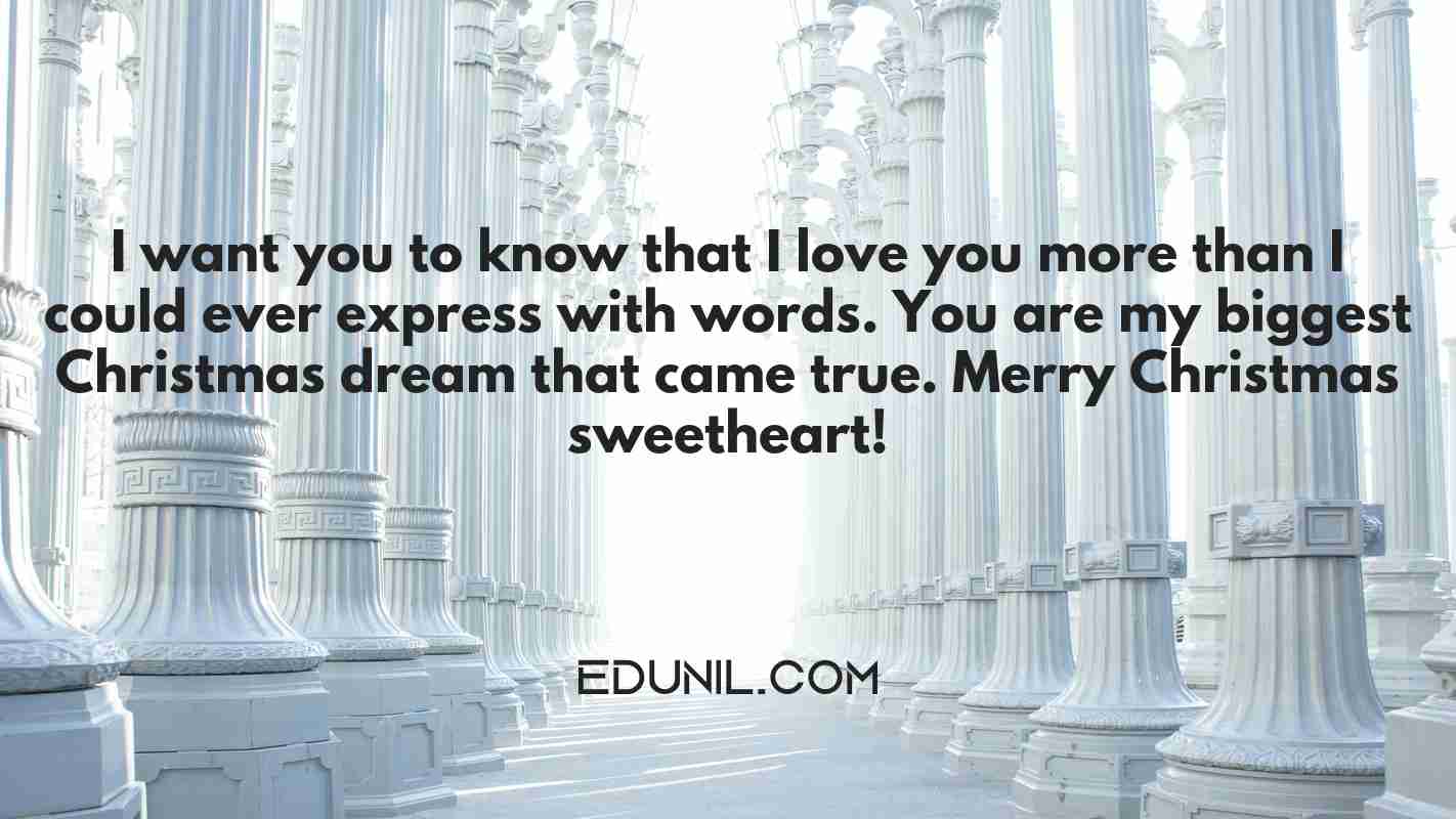 I want you to know that I love you more than I could ever express with words. You are my biggest Christmas dream that came true. Merry Christmas sweetheart! - 
