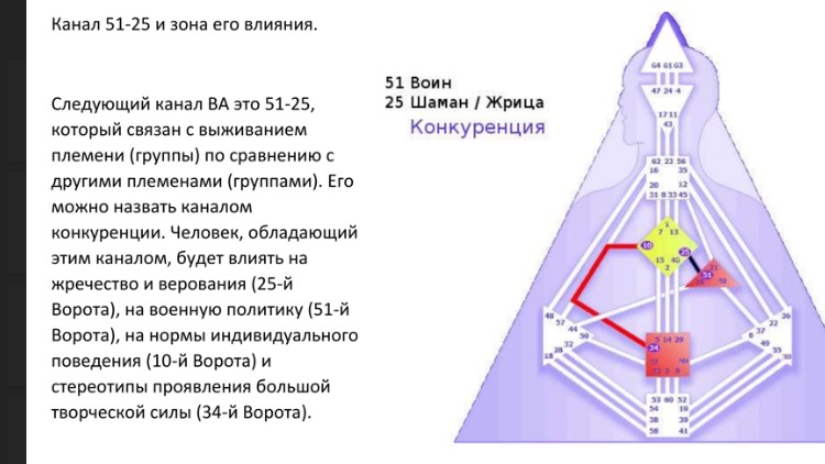 Дизайн человека 2. Контуры в дизайне человека. Бодиграф контур. Племенные ворота в дизайне человека. Племенные в дизайне человека.